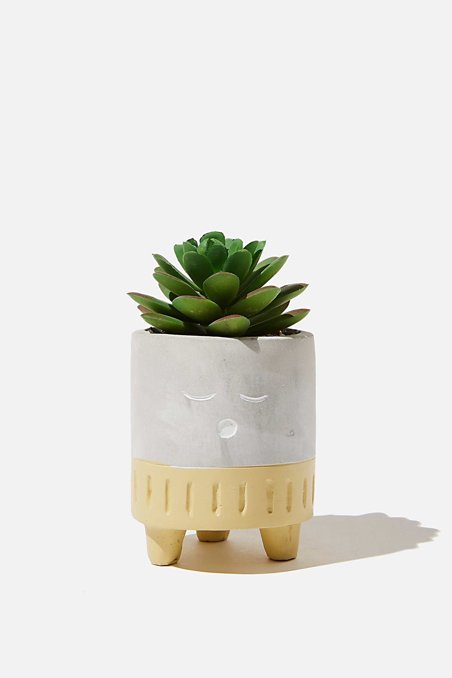 Typo - Tiny Planter With Plant - Cement & mustard sleepy face