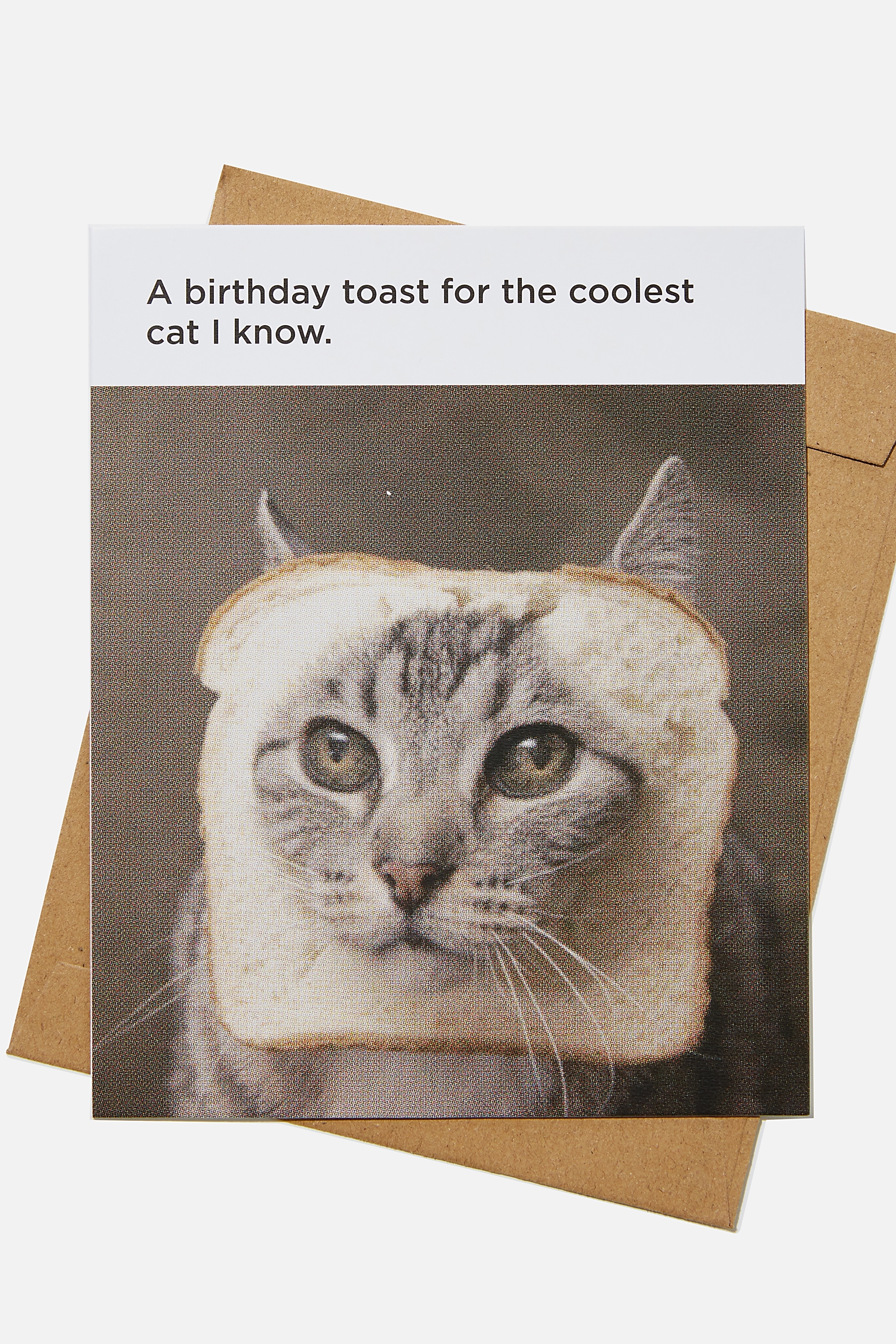 Typo - Funny Birthday Card - Coolest cat birthday toast meme